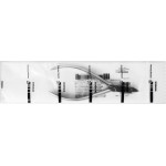Bird beak-Zange nach Angle - 1 db, DP311R, 125 mm - DP311R