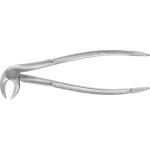 Zahnzangen Unterkiefer, 1 darab, FX33E, gezackt, untere Wurzeln, beide Seiten