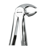 Omni (13), Foghúzó fogó, 13, 1 darab