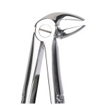 Omni (33), Foghúzó fogó, 33, 1 darab