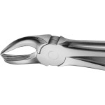 Anatomica-Zahnzangen - 1 db, DG190R, für obere Molaren, bal, tiefgreifend - DG190R