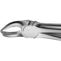 Anatomica-Zahnzangen - 1 db, DG190R, für obere Molaren, bal, tiefgreifend - DG190R