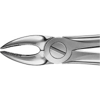 Anatomica-Zahnzangen nach Büchs - 1 db, DH702R, für obere Schneide und Eckzähne - DH702R