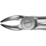 Anatomica-Zahnzangen nach Büchs - 1 db, DH707R, für obere Prämolaren - DH707R