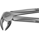 Anatomica-Zahnzangen nach Büchs - 1 db, DH713R, für untere Eckzähne und Prämolaren - DH713R