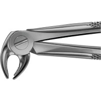 Anatomica-Zahnzangen nach Büchs - 1 db, DH713R, für untere Eckzähne und Prämolaren - DH713R