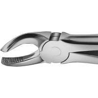 Anatomica-Zahnzangen nach Büchs - 1 db, DH717R, für obere Molaren, jobb - DH717R