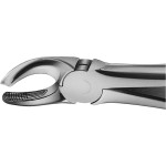 Anatomica-Zahnzangen nach Büchs - 1 db, DH718R, für obere Molaren, bal - DH718R