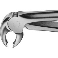 Anatomica-Zahnzangen nach Büchs - 1 db, DH722R, für untere Molaren, beide Seiten - DH722R