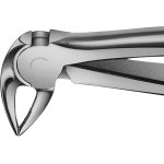 Anatomica-Zahnzangen nach Büchs - 1 db, DH732R, für untere Wurzeln, mit schmalem Maul - DH732R