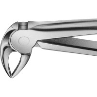 Anatomica-Zahnzangen nach Büchs - 1 db, DH733R, für untere Schneidezähne, Prämolaren und Wurzeln - DH733R