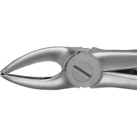 Anatomica-Zahnzangen nach Büchs - 1 db, DH736R, für obere Prämolaren - DH736R