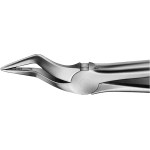 Anatomica-Zahnzangen nach Büchs - 1 db, DH750R, für obere Wurzeln, schmales Maul - DH750R