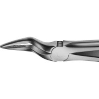 Anatomica-Zahnzangen nach Büchs - 1 db, DH755R, für obere Wurzeln, langes Modell, schmales Maul - DH755R