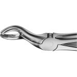 Anatomica-Zahnzangen nach Büchs - 1 db, DH767R, für obere Weisheitszähne, schmal - DH767R