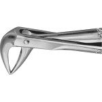 Anatomica-Zahnzangen nach Büchs - 1 db, DH774R, für untere Wurzeln, Maul 4,5 mm - DH774R