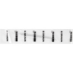 Glätter nach Wallis - 1 db, 170 mm, Ø 1,4 / 2,6 mm - DE297R Glätter nach Wallis - 1 db, 170 mm, Ø 1,4 / 2,6 mm - DE297R