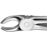 Anatomica-Zahnzangen - 1 db, DG117R, für obere Molaren, jobb - DG117R