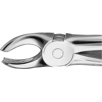 Anatomica-Zahnzangen - 1 db, DG117R, für obere Molaren, jobb - DG117R