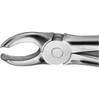 Anatomica-Zahnzangen - 1 db, DG118R, für obere Molaren, bal - DG118R