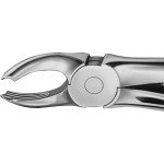 Anatomica-Zahnzangen - 1 db, DG130R, für obere Molaren, beide Seiten - DG130R