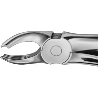 Anatomica-Zahnzangen - 1 db, DG130R, für obere Molaren, beide Seiten - DG130R