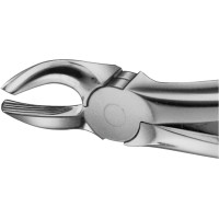 Anatomica-Zahnzangen - 1 db, DG195R, für obere Molaren, Weisheitszähne - DG195R