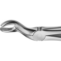 Anatomica-Zahnzangen - 1 db, DG252R, für obere Weisheitszähne, breit - DG252R