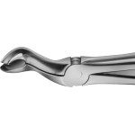 Anatomica-Zahnzange nach Felsch - 1 db, DG270R, für obere Weisheitszähne, mit Fangvorrichtung - DG270R