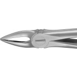 Anatomica-Zahnzangen nach Kaiser - 1 db, DG300R, für obere Frontzahnwurzeln - DG300R