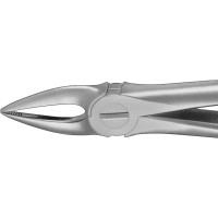 Anatomica-Zahnzangen nach Kaiser - 1 db, DG300R, für obere Frontzahnwurzeln - DG300R