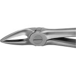 Anatomica-Zahnzangen - 1 db, DG320R, für obere Wurzeln - DG320R