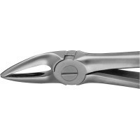 Anatomica-Zahnzangen - 1 db, DG320R, für obere Wurzeln - DG320R
