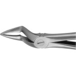 Anatomica-Zahnzangen nach Kaiser - 1 db, DG340R, für obere Wurzeln - DG340R