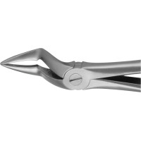 Anatomica-Zahnzangen nach Kaiser - 1 db, DG340R, für obere Wurzeln - DG340R