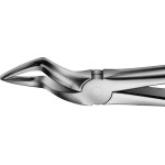 Anatomica-Zahnzangen - 1 db, DG351R, für obere Wurzeln, kurzes schmales Maul - DG351R