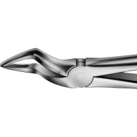 Anatomica-Zahnzangen - 1 db, DG351R, für obere Wurzeln, kurzes schmales Maul - DG351R