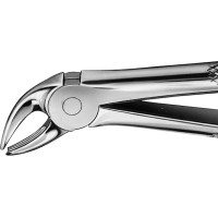 Anatomica-Zahnzangen - 1 db, DG404R, für untere Schneidezähne - DG404R