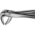 Anatomica-Zahnzangen nach Trotter - 1 db, DG430R, für untere Eckzähne und Prämolaren - DG430R