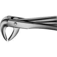 Anatomica-Zahnzangen nach Trotter - 1 db, DG430R, für untere Eckzähne und Prämolaren - DG430R