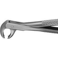 Anatomica-Zahnzangen - 1 db, DG555R, für untere Molaren - DG555R