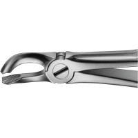 Anatomica-Zahnzangen - 1 db, DG659R, für untere Weisheitszähne - DG659R