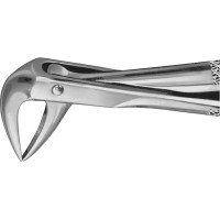 Anatomica-Zahnzangen - 1 db, DG704R, für untere Wurzeln, Maul 4,5 mm - DG704R