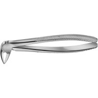 Anatomica-Zahnzangen nach Kaiser - 1 db, DG727R, für untere Wurzeln - DG727R