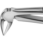 Anatomica-Zahnzange nach Feiner - 1 db, DG729R, für untere Wurzeln, mit besonders langem Maul - DG729R