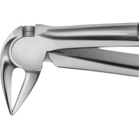 Anatomica-Zahnzange nach Feiner - 1 db, DG729R, für untere Wurzeln, mit besonders langem Maul - DG729R