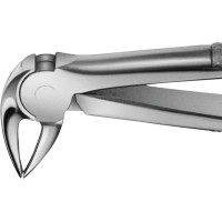 Anatomica-Zahnzangen - 1 db, DG732R, für untere Wurzeln, mit schmalem Maul - DG732R