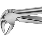 Anatomica-Zahnzangen - 1 db, DG733R, für untere Schneidezähne, Prämolaren und Wurzeln - DG733R