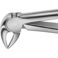 Anatomica-Zahnzangen - 1 db, DG733R, für untere Schneidezähne, Prämolaren und Wurzeln - DG733R