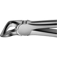 Anatomica-Zahnzangen - 1 db, DG751R, für untere Prämolaren und Wurzeln - DG751R